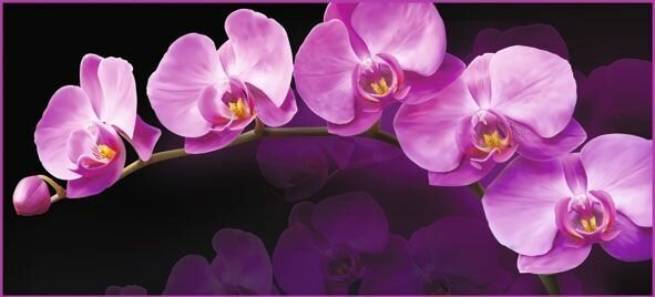 Фотообои Vostorg А 002 Зеркальная орхидея 294х134см