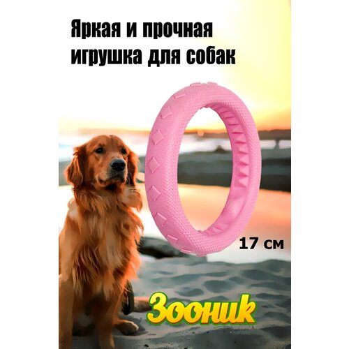 Игрушка Кольцо плавающее среднее Зооник, 17 см, пластикат, розовая