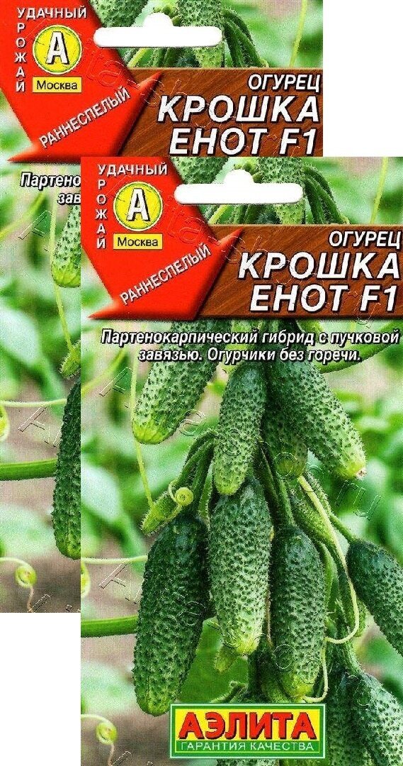 Огурец Крошка енот F1 (10 семян), 2 пакета