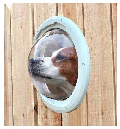 Обзорное окно в заборе для собаки - фотография № 2