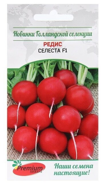 Семена Редис 