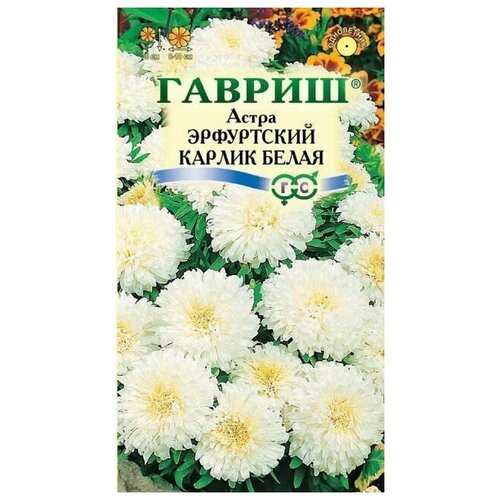 Семена Гавриш Астра Эрфуртский карлик белая 0,3 г, 10 уп. астра эрфуртский карлик семена цветы