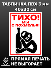 Табличка информационная "Тихо! Мы с похмелья!" 40х30 см