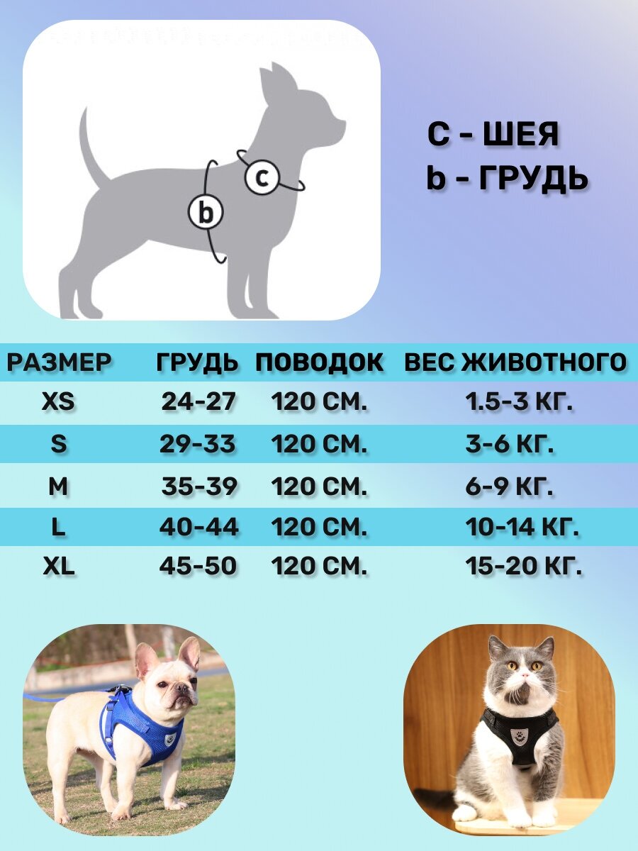 Шлейка с поводком для собак мелких и средних пород / Шлейка для кошек, L-Синяя - фотография № 7