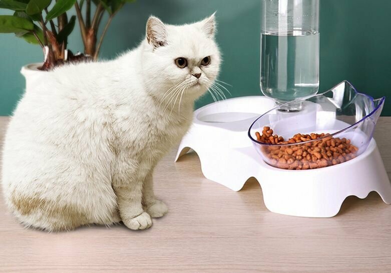 Двойная миска поилка для животных на подставке для воды и корма / Пластиковая миска с чашей под наклоном для кошек и собак/ Автопоилка белая - фотография № 5