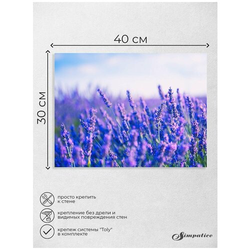 Картина для интерьера лаванда