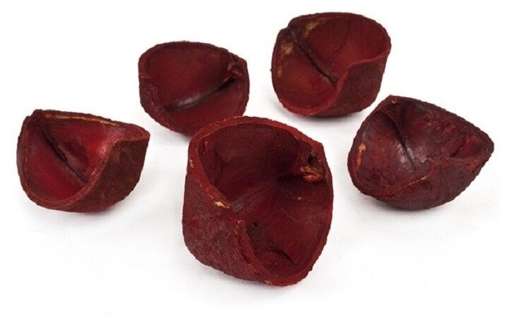 Сухоцвет каска тингуи красный 8 см, 5 шт. в упаковке, для декора