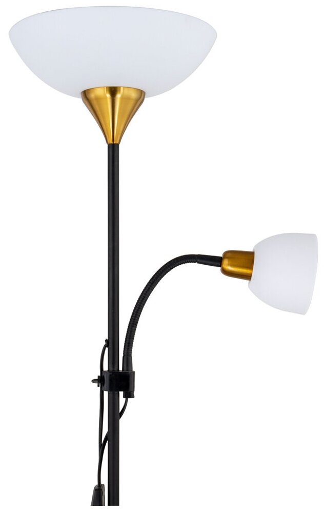 Торшер Arte Lamp Duetto A9569PN-2BK