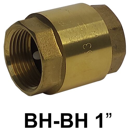 Обратный клапан 1СТМ ( с пластиковым седлом)