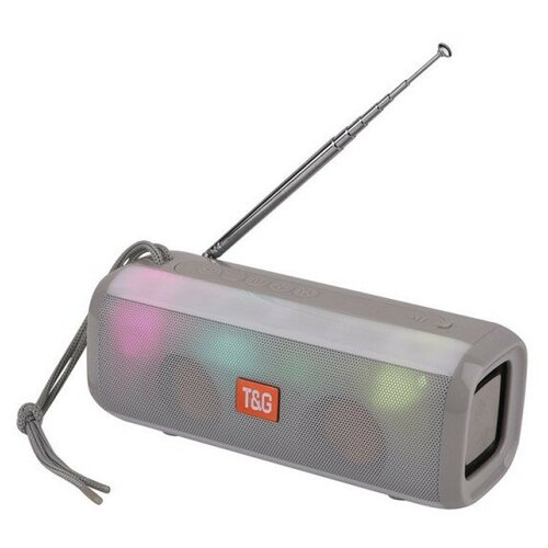 Портативная акустика T G TG144 10 Вт серый 129000₽