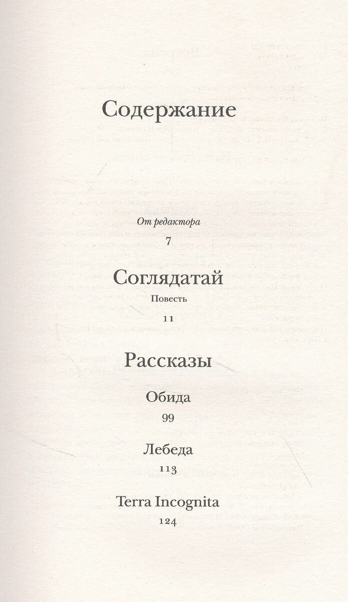 Соглядатай (Набоков Владимир Владимирович) - фото №4