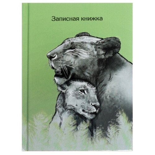 Записная книжка 105 х 140 мм, 64 листа Львы, твёрдая обложка, глянцевая ламинация, 2 штуки