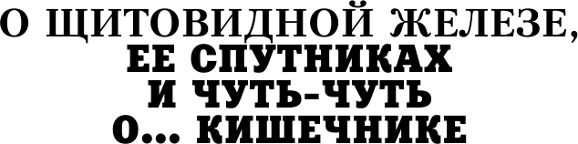 Загадки щитовидки: почему перестает работать и как это исправить - фото №7
