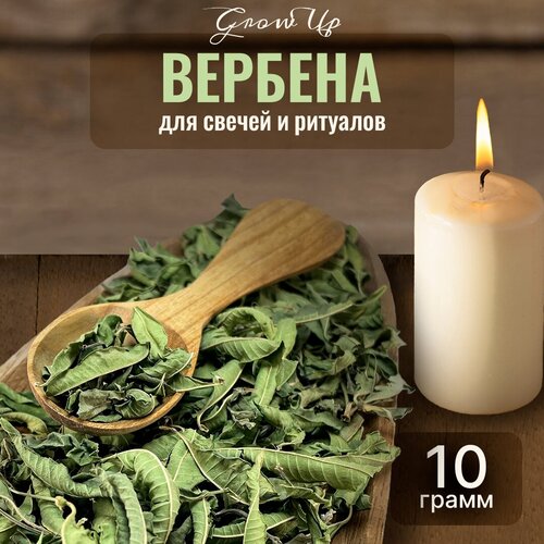 Сухая трава Вербена для свечей и ритуалов, 10 гр