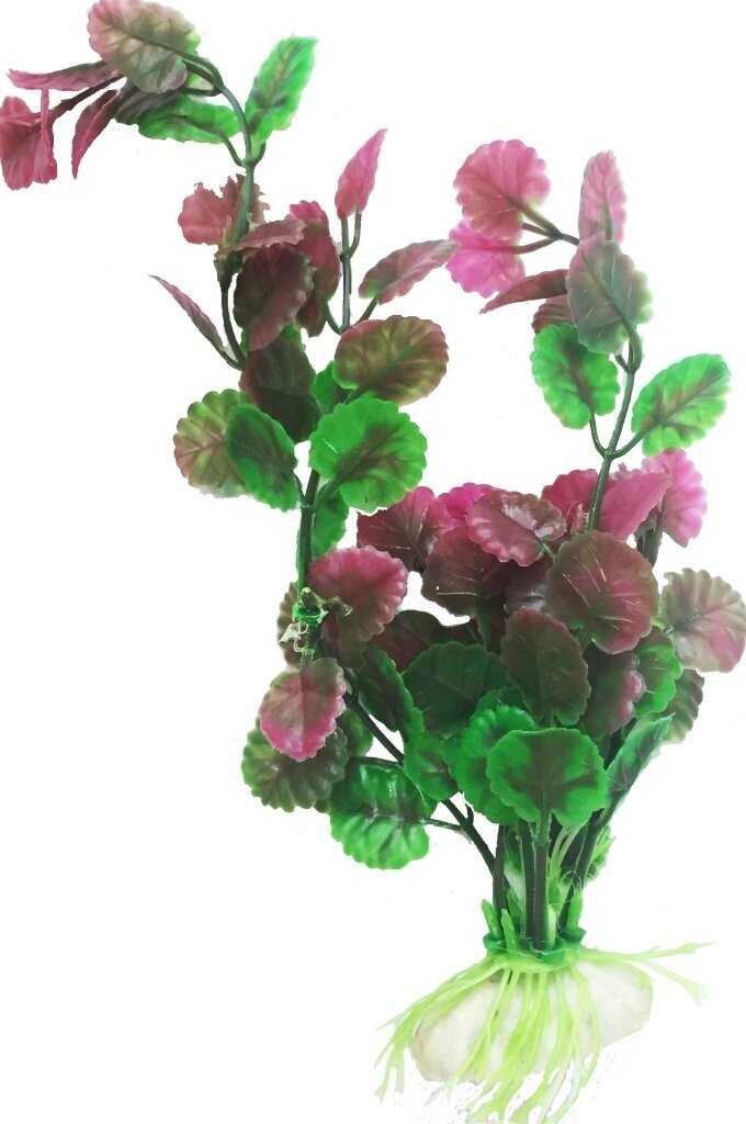 Растение Микрантемум красно-зелёный пластик 30см - фотография № 1