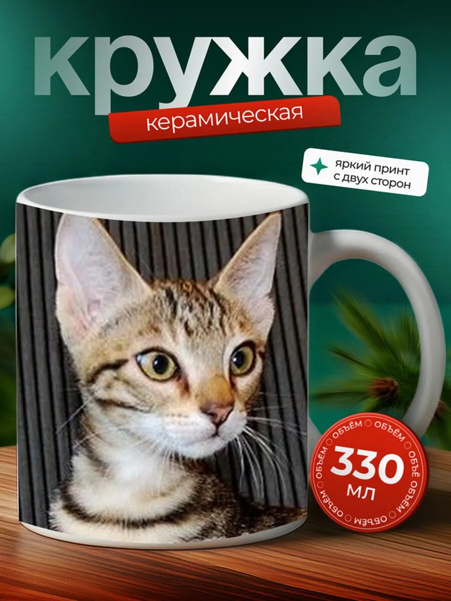 Кружка Серенгети кот 32,