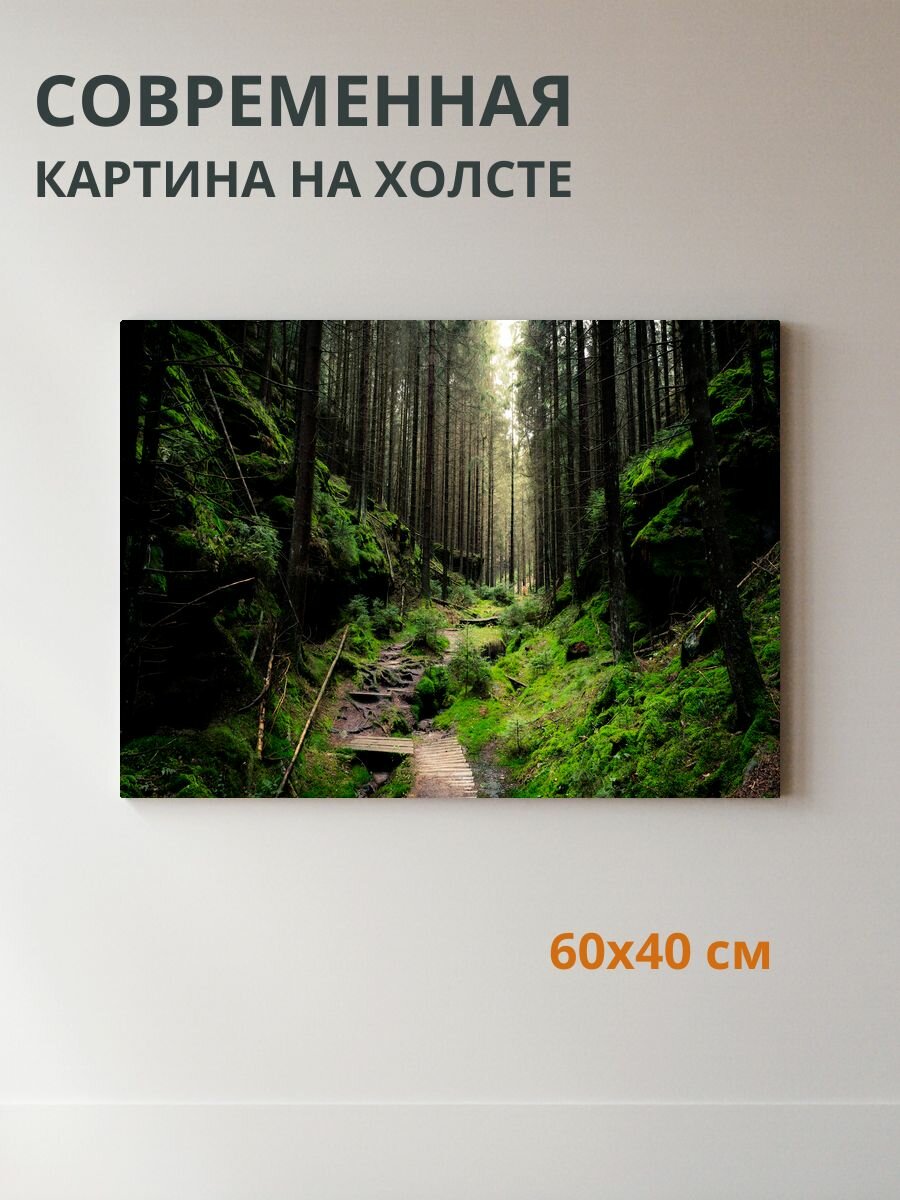 Картина на холсте Лес 60x40 см