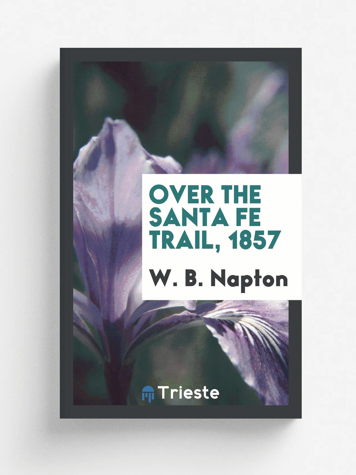 Over the Santa Fe trail, 1857