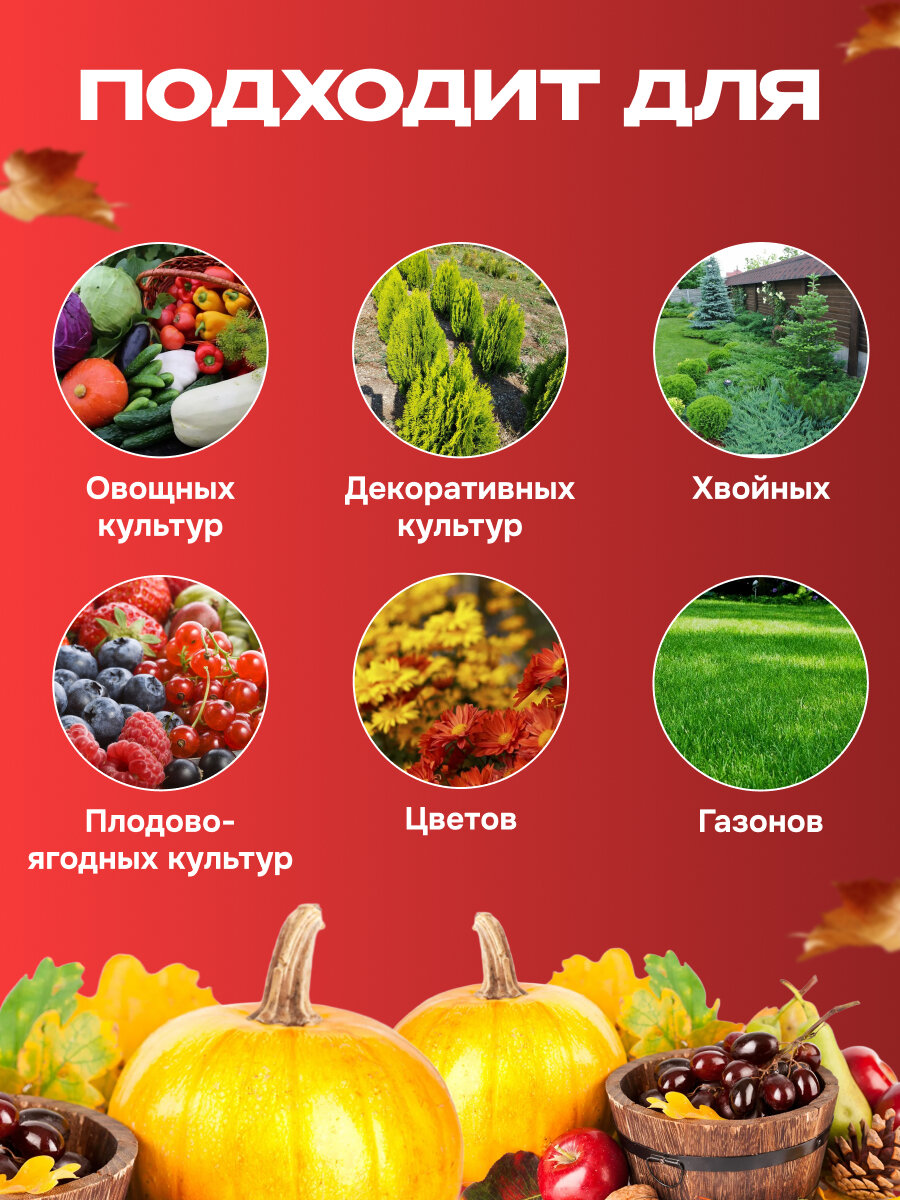 Фосфорно-калийное удобрение осень , 3 кг органоминеральное, универсальное, комплексное "Буйские удобрения" — фото 1