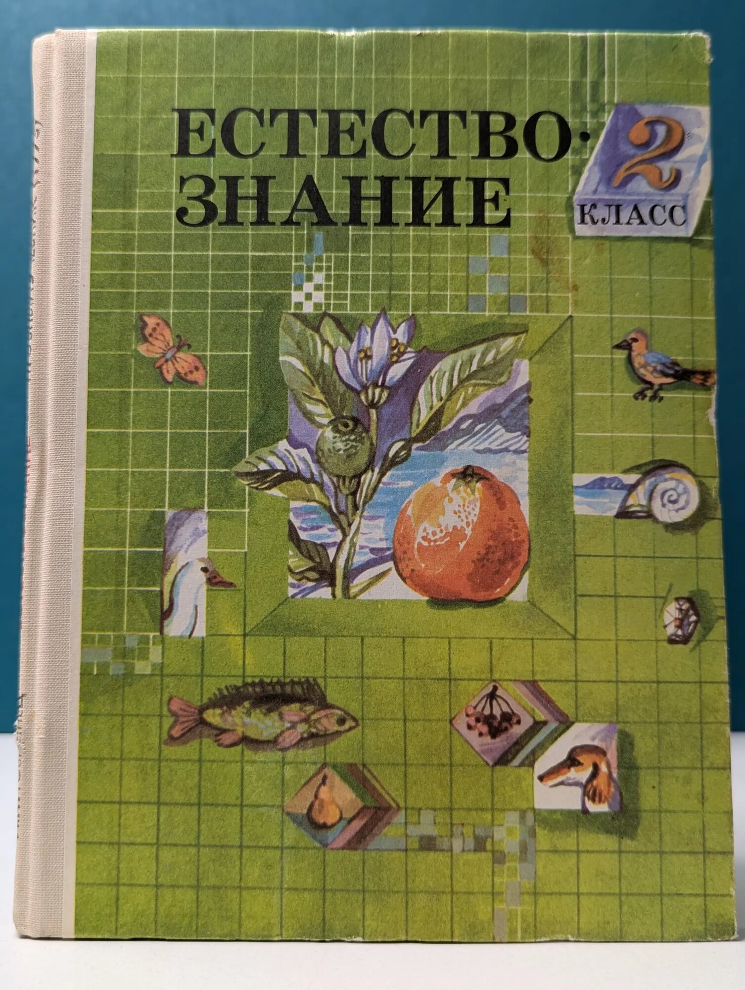 Естествознание. 2 класс. Пробный учебник Дмитриева Нинель Яковлевна, Товпинец Ирина Павловна 1993