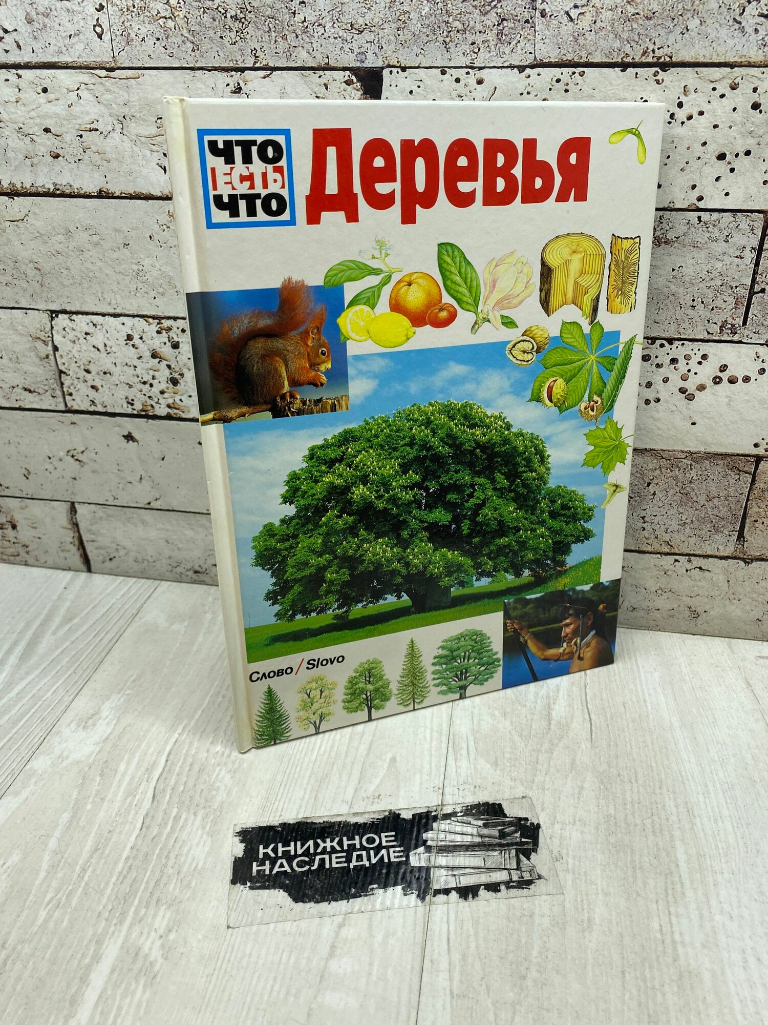 Курт-Гильзенбах Х. Что есть что Деревья