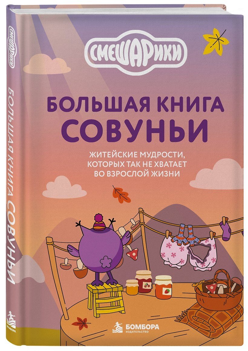 Большая книга Совуньи. Житейские мудрости, которых так не хватает во взрослой жизни