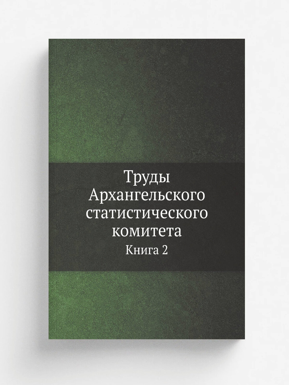 Труды Архангельского статистического комитета. Книга 2