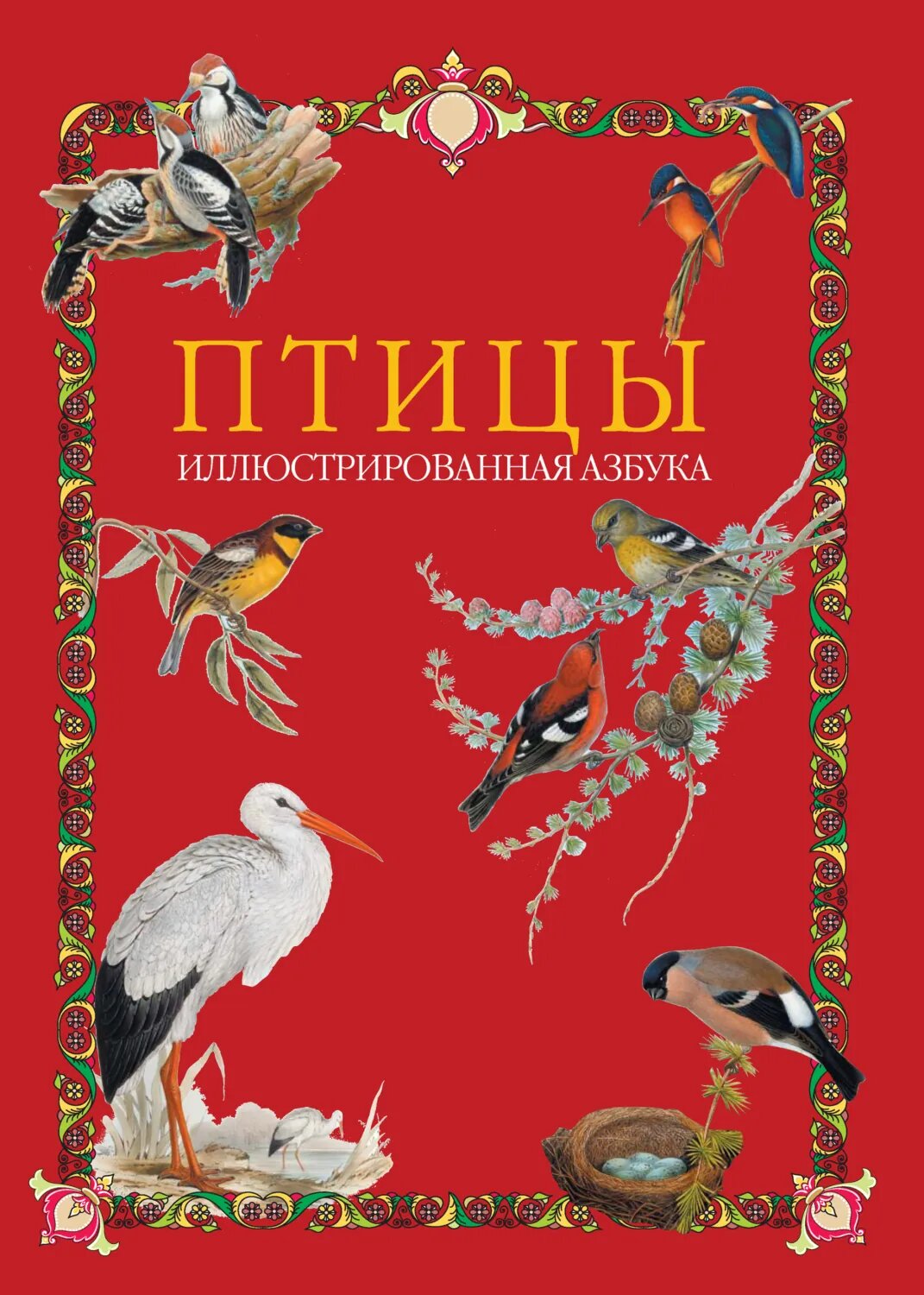 Птицы. Иллюстрированная азбука [Цифровая книга]