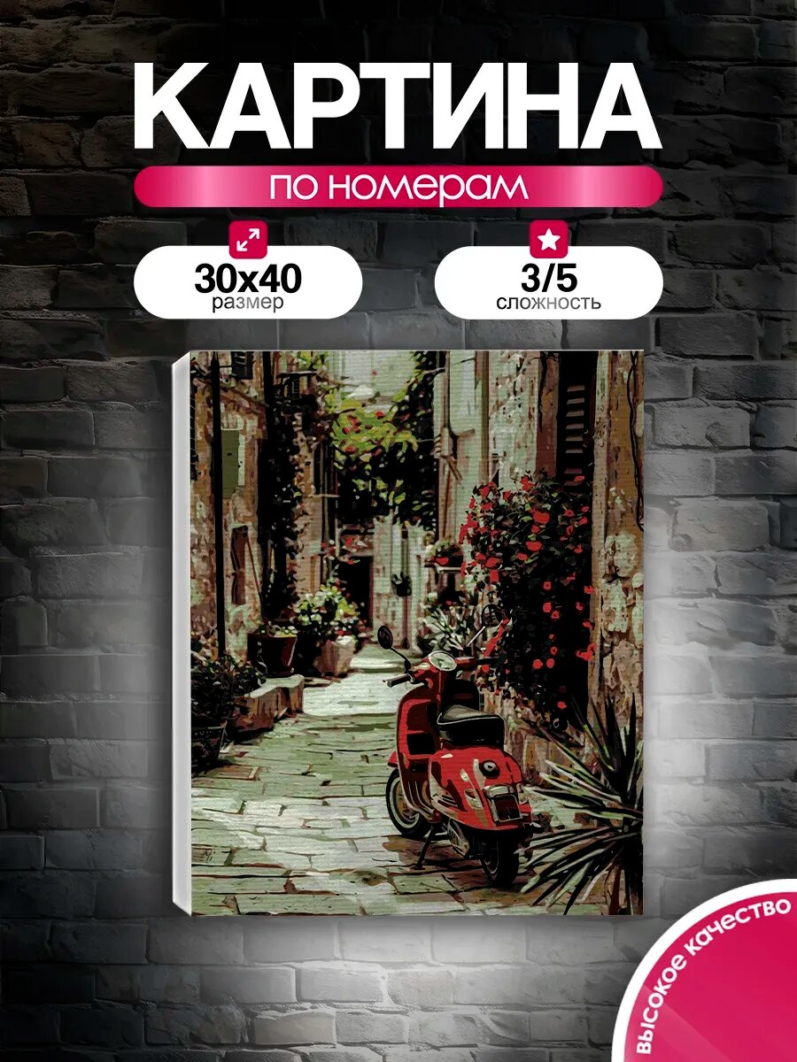 Картина по номерам 30x40 Скутер в цветах