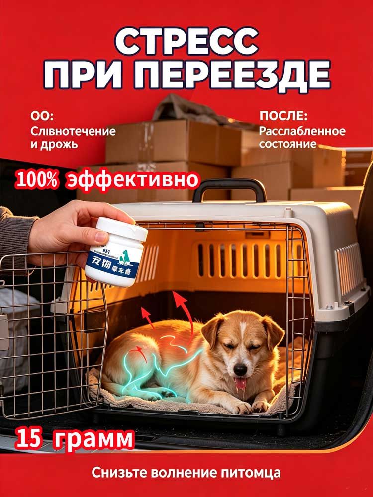 Попрощайтесь с морской болезнью, без рвоты, без тошноты, без головокружения 15 грамм