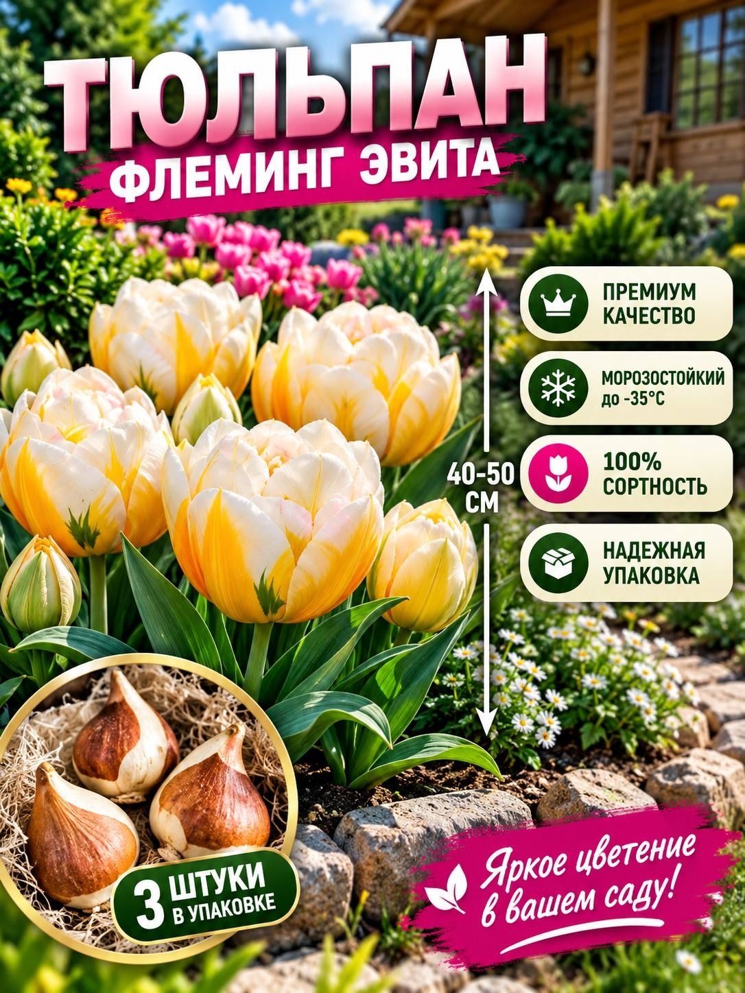 Луковицы тюльпана "Флеминг Эвита" 3шт.