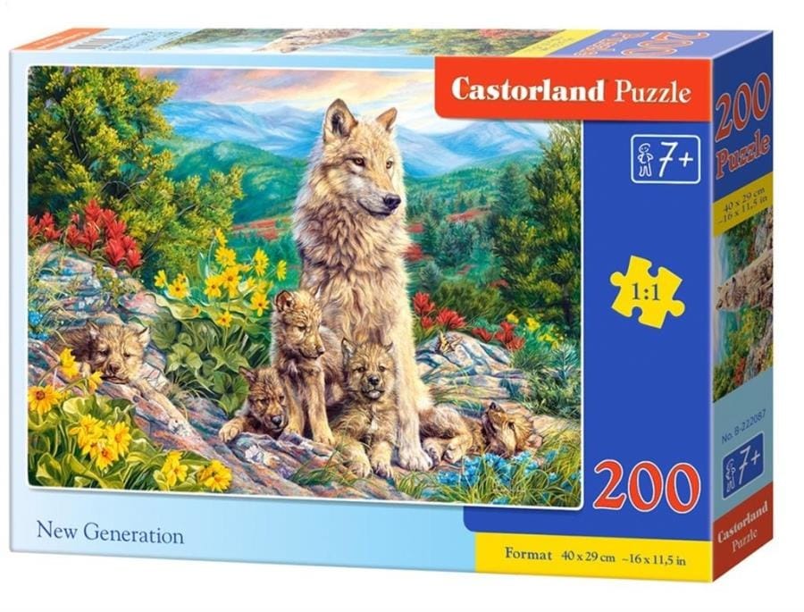 Пазл Castorland новое поколение, 200 элементов, 40x26 см