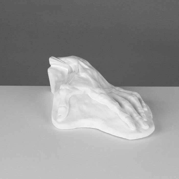 фото Гипсовая фигура Анатомические детали: Кисть анатомическая 26.5*16.5*7 20-207 2515134