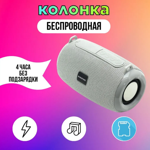 Колонка портативная 102900₽