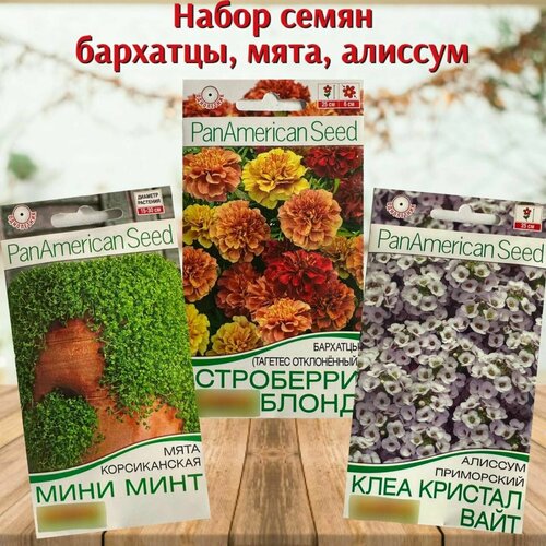Семена цветов для дома Бархатцы, Мята, Алиссум набор 3 упаковки семена мята корсиканская аэлита мини минт 3шт