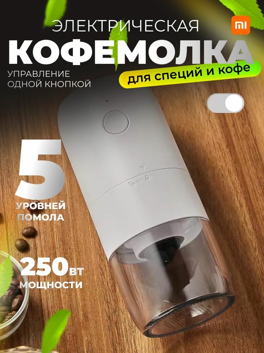 Фотографии Кофемолка электрическая мощная для кофе, круп и специй