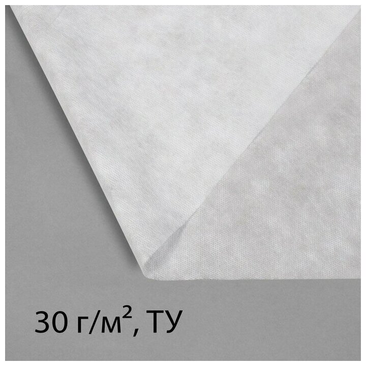 Материал укрывной, 5 × 1,6 м, плотность 30, с УФ-стабилизатором, белый, Greengo, Эконом 20% - фотография № 4