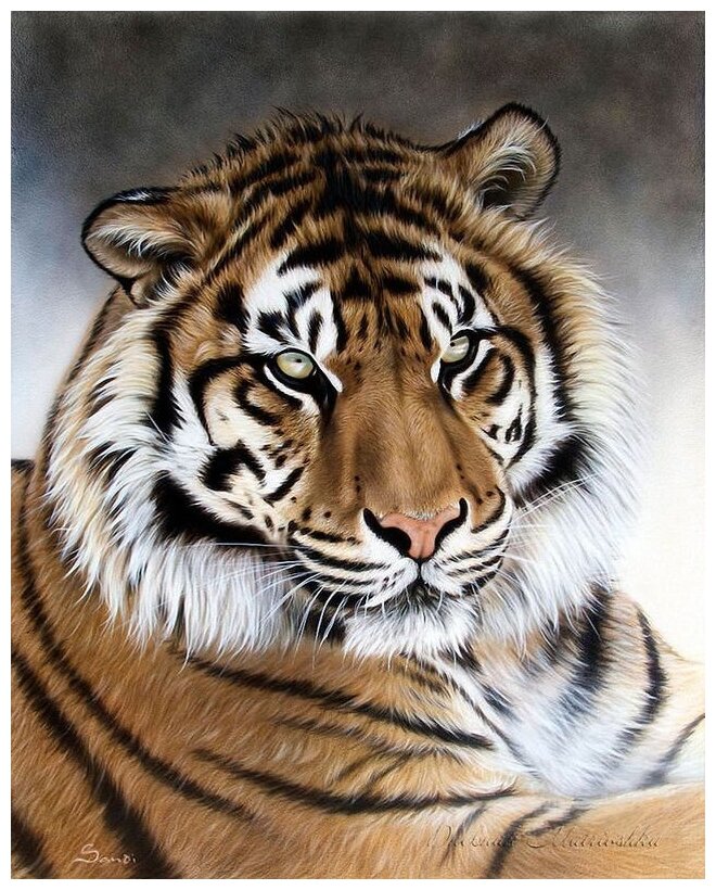 Алмазная мозаика (круг) Грозный тигр 40х50 см