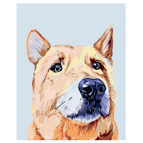 фото Картина по номерам, 40 x 50, a250, "живопись по номерам", набор для раскрашивания, раскраска