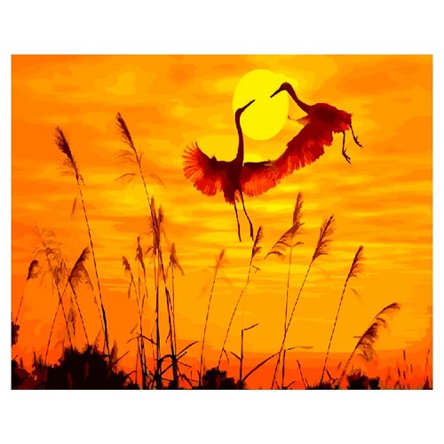 ВанГогВоМне Картина по номерам Танец журавлей (ZX 20949)50x40см вангогвомне картина по номерам радужный тигр zx 20371 50x40см