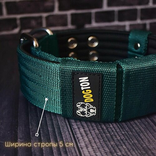 Изображение товара Ошейник для средних пород собак DOGTON широкий. Ширина 5.5 см. Для прогулок. Для выставки. Сварная фурнитура. Обхват 43-57 см.