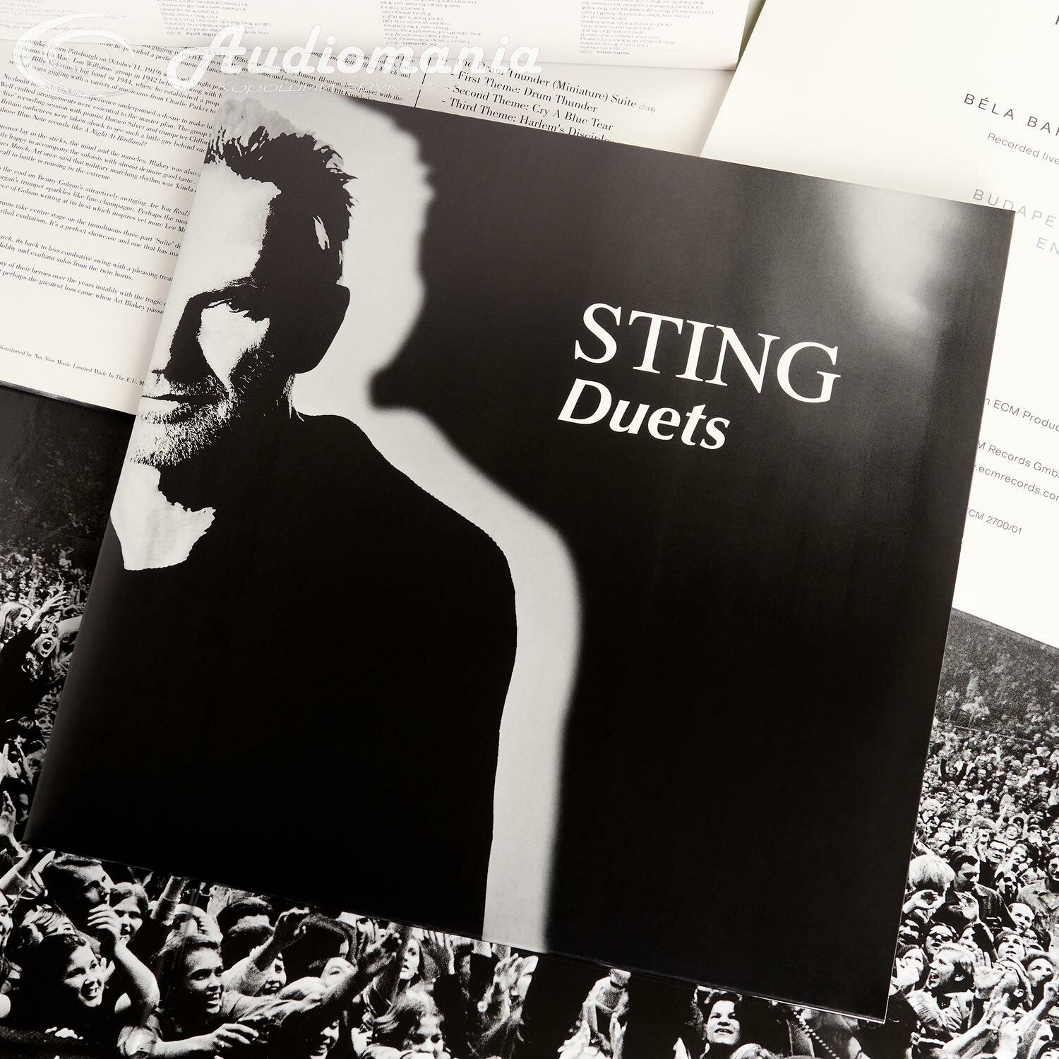 Виниловая пластинка Universal Music STING - Duets (2LP)