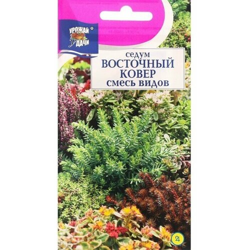 Семена цветов Урожай удачи Седум Восточный ковер, смесь, 0,015 г 8 упаковок семена цветы седум очиток бархатный ковер