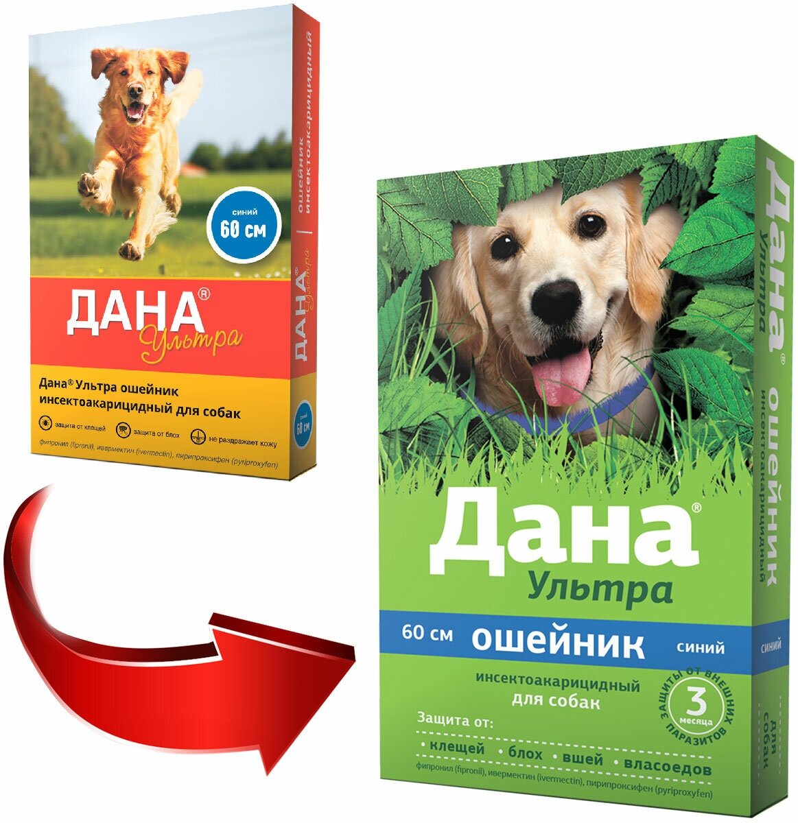 Ошейник от блох и клещей для собак APICENNA дана ультра 60 см инсектоакарицидный, синий — фото 1