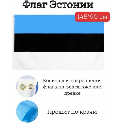 большой флаг флаг казахстана 145 90 см Большой флаг. Флаг Эстонии (145*90 см)