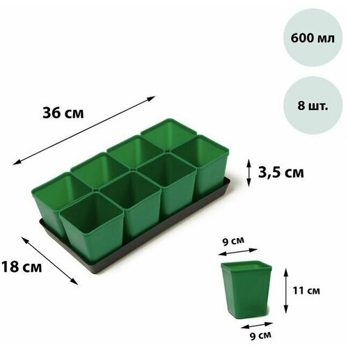 Набор для рассады: стаканы по 600 мл (8 шт.), поддон 36 х 18 см, цвет ,