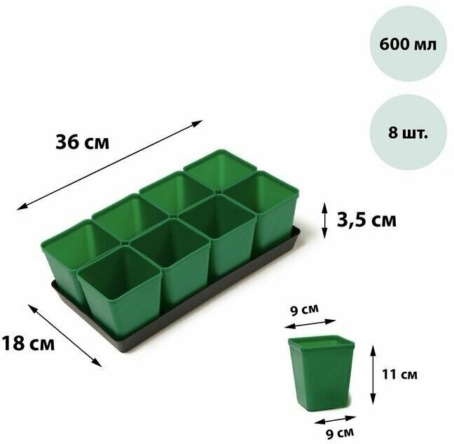 Набор для рассады: стаканы по 600 мл (8 шт.) поддон 36 × 18 см цвет микс Greengo