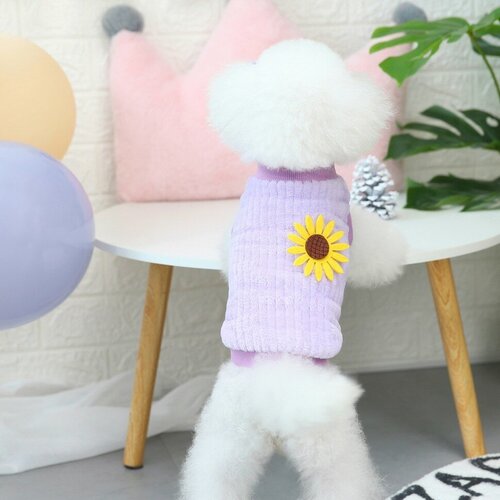 Толстовка для собак 