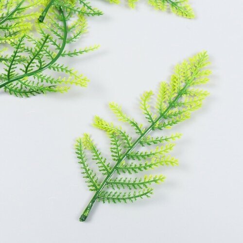 Декор для творчества Листья лесного папоротника набор 5 шт зелёный 15 см 9417744