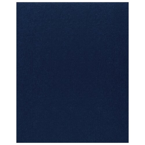 Купить Фетр Rayher моделируемый, размер листа 30 х 45 см (формат А3), толщина 1 мм, цвет: темно-синий